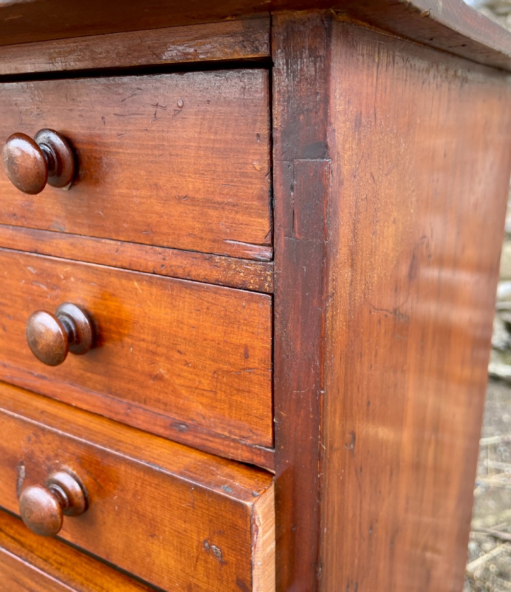 Antique Specimen Collectors Cabinet View VIII