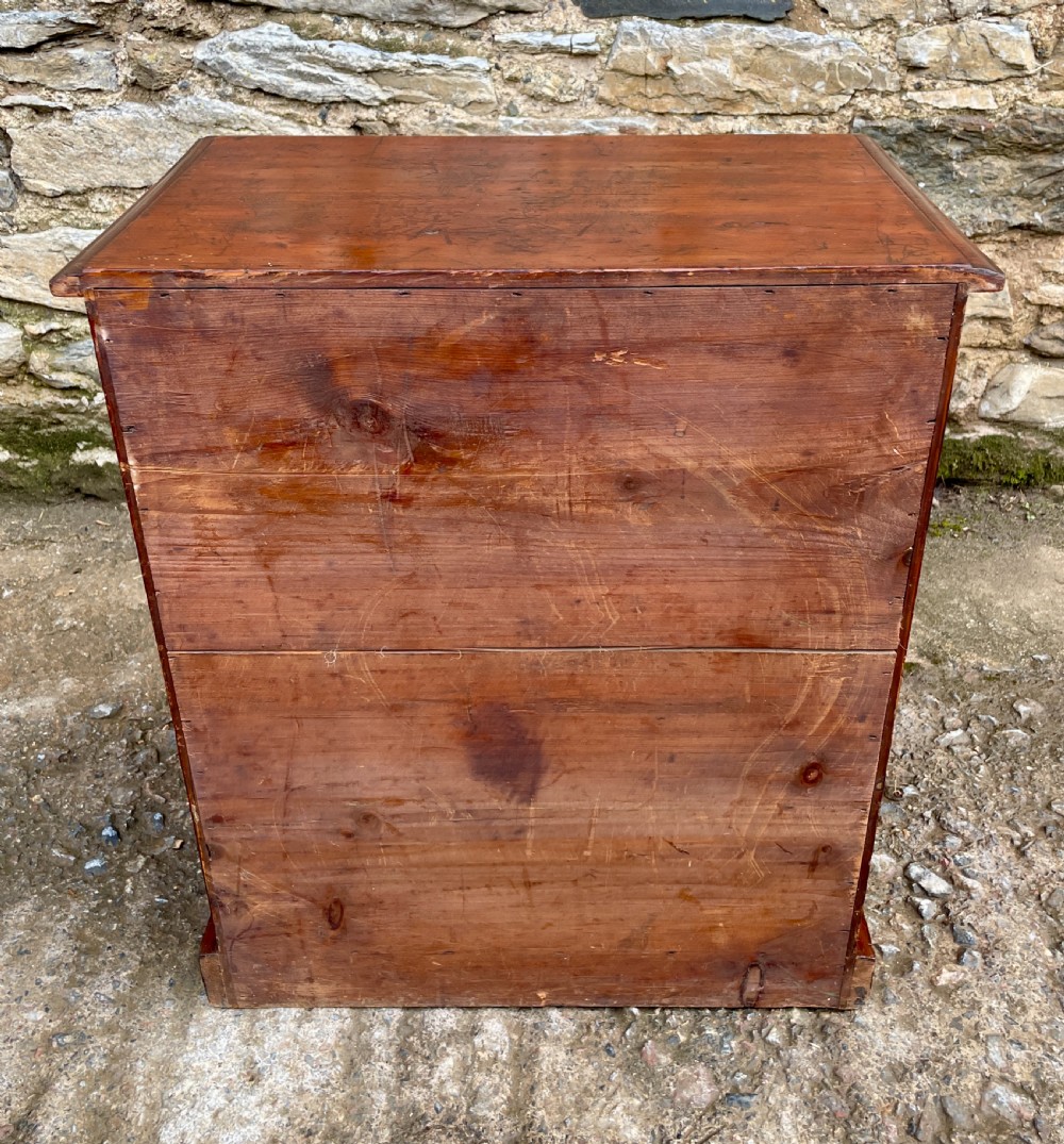 Antique Specimen Collectors Cabinet View XVI