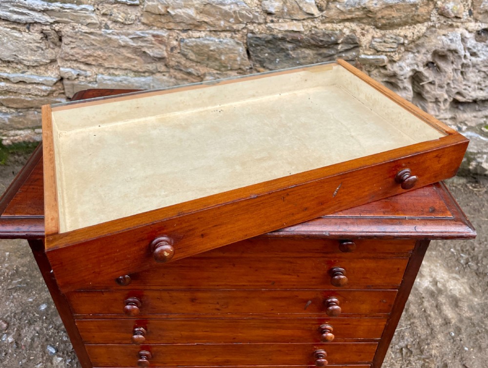 Antique Specimen Collectors Cabinet View XVII