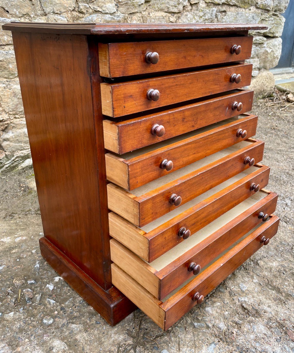 Antique Specimen Collectors Cabinet View XVIII