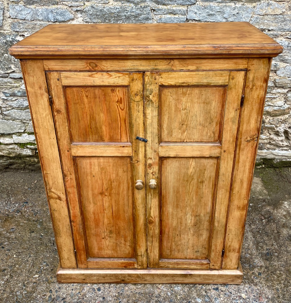 Antique Stripped Pine Cupboard View II
