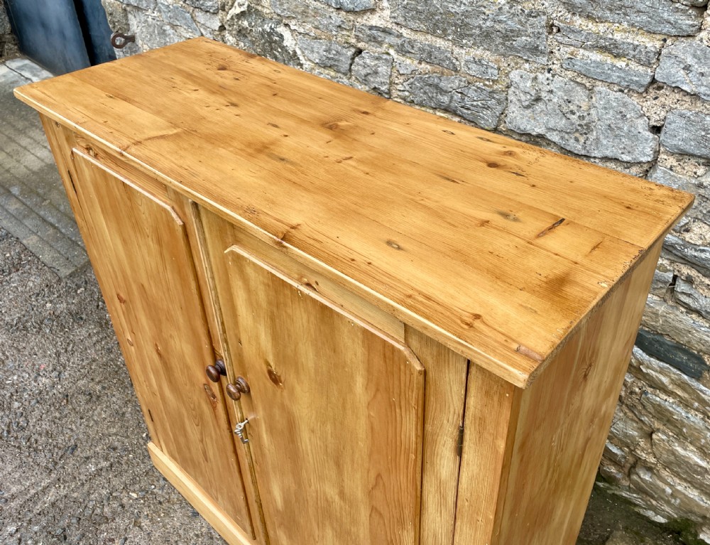 Antique Stripped Pine Cupboard View VIII
