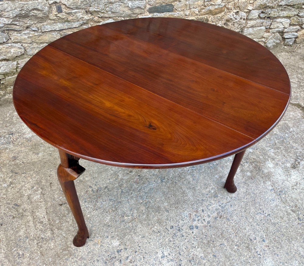 Georgian Mahogany Drop Leaf Table View VIII