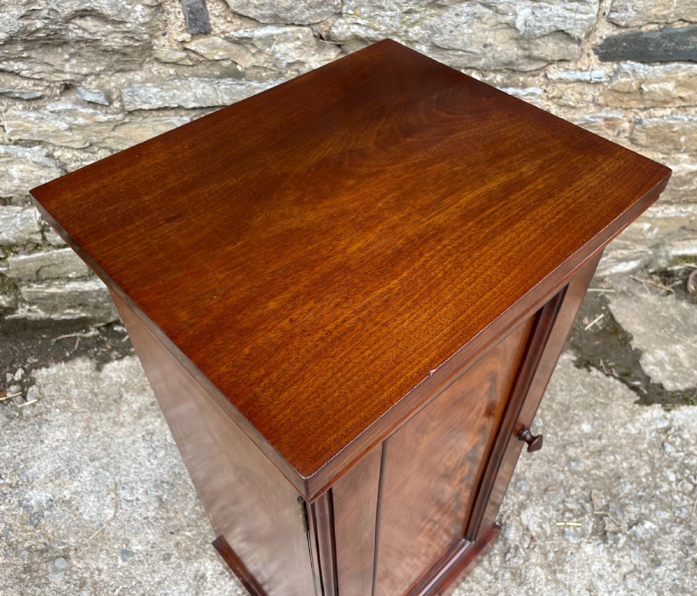 Victorian Mahogany Pot Cupboard View VIII