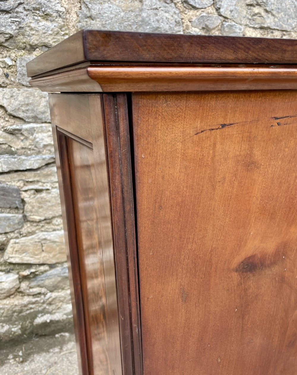 Victorian Mahogany Pot Cupboard View IX