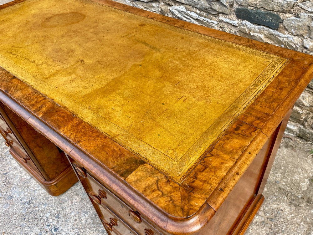 Antique Burr Walnut Desk View XV