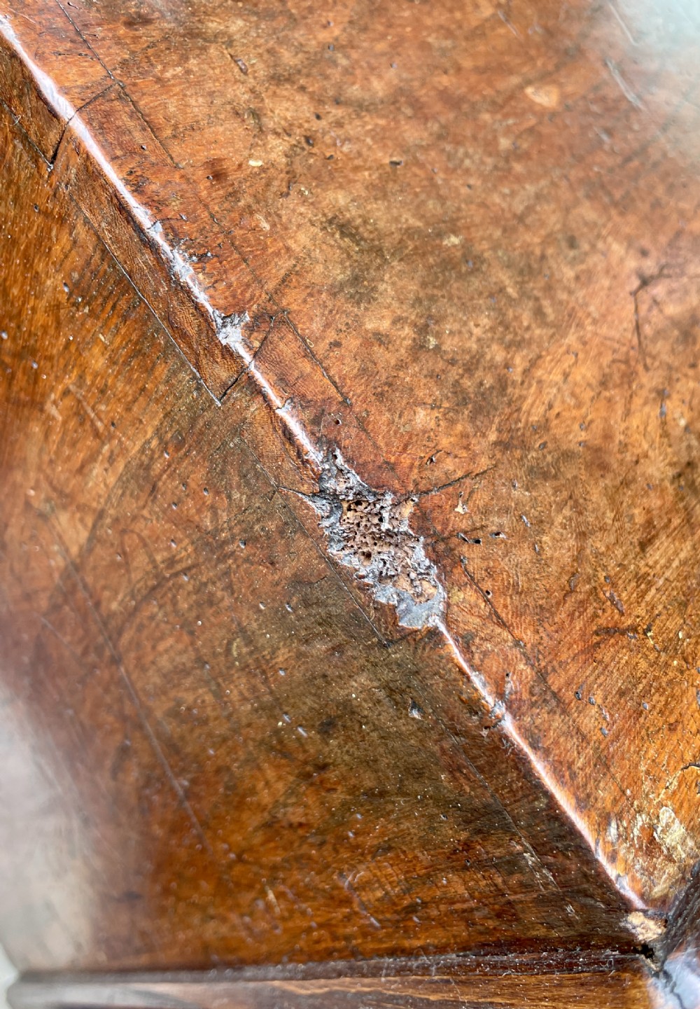 Georgian Elm Blanket Box View XIX