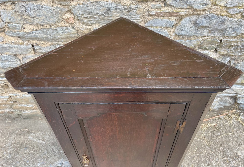 Georgian Oak Hanging Corner Cupboard View XXI