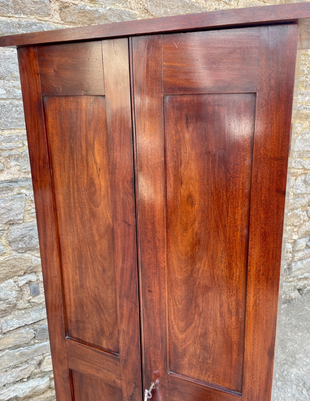 Antique Mahogany Estate Cupboard View XII