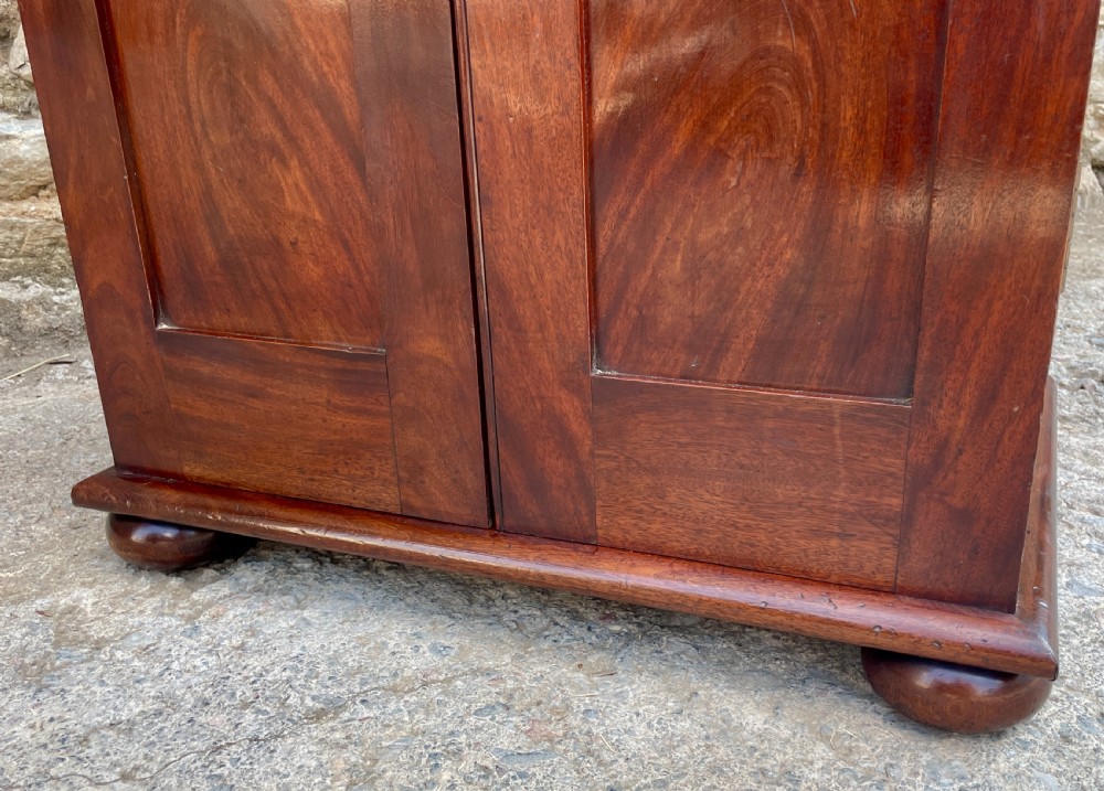 Antique Mahogany Estate Cupboard View XIV