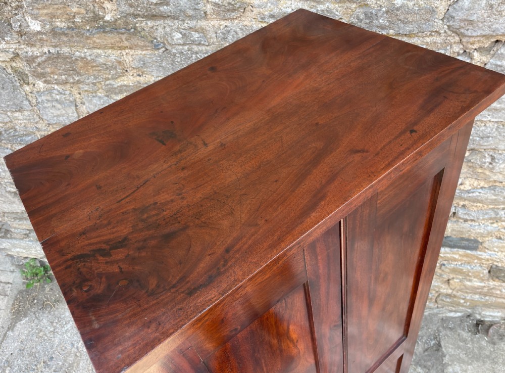 Antique Mahogany Estate Cupboard View XV