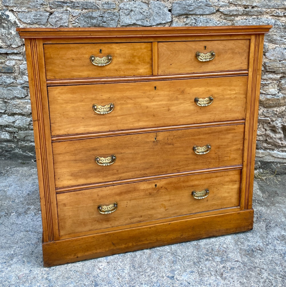 Edwardian Satinwood Chest of Drawers View III