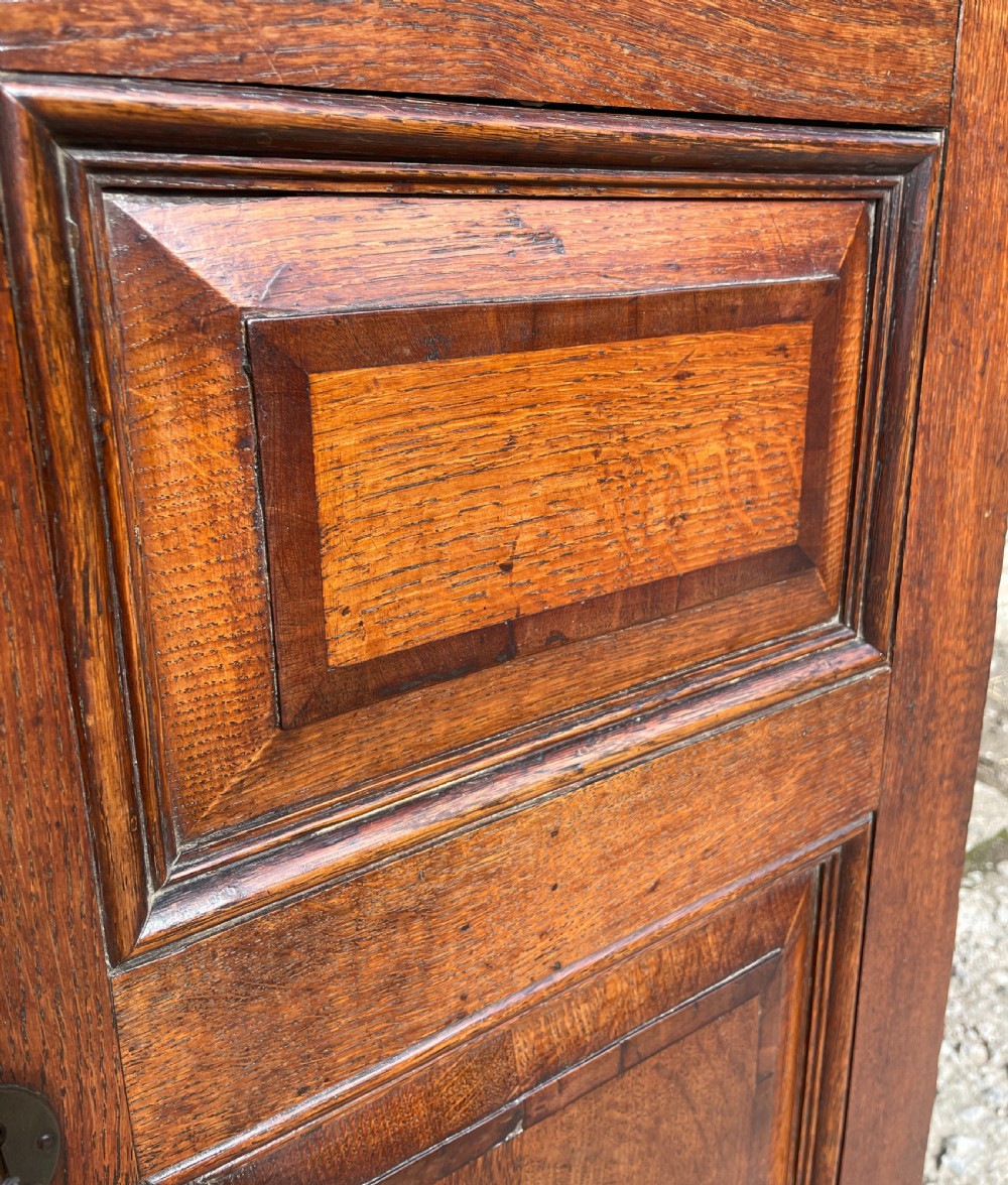 Georgian Oak Cupboard View VI
