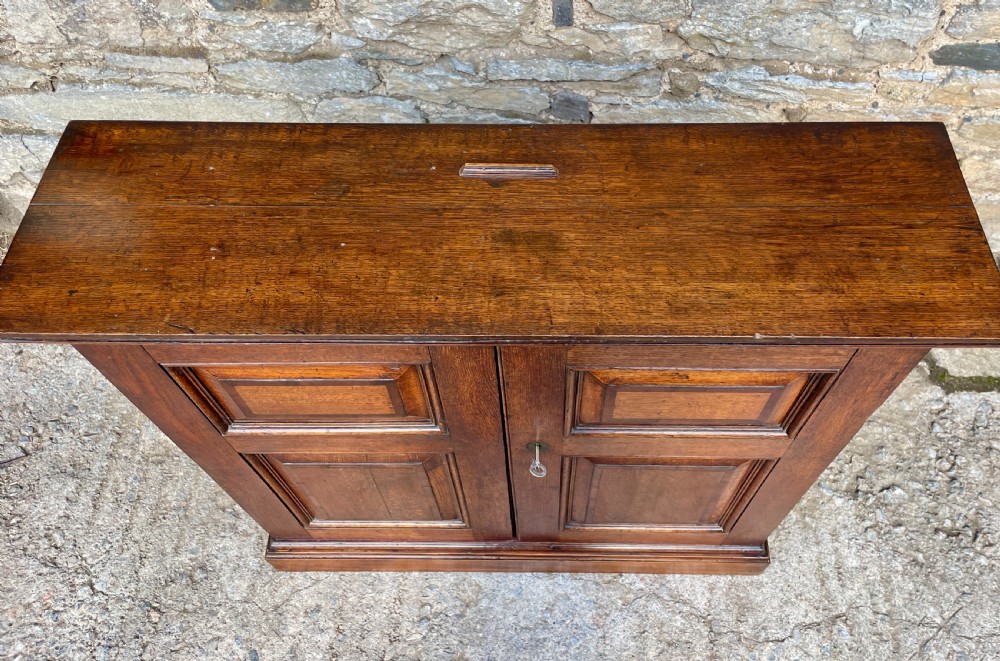Georgian Oak Cupboard View XIII