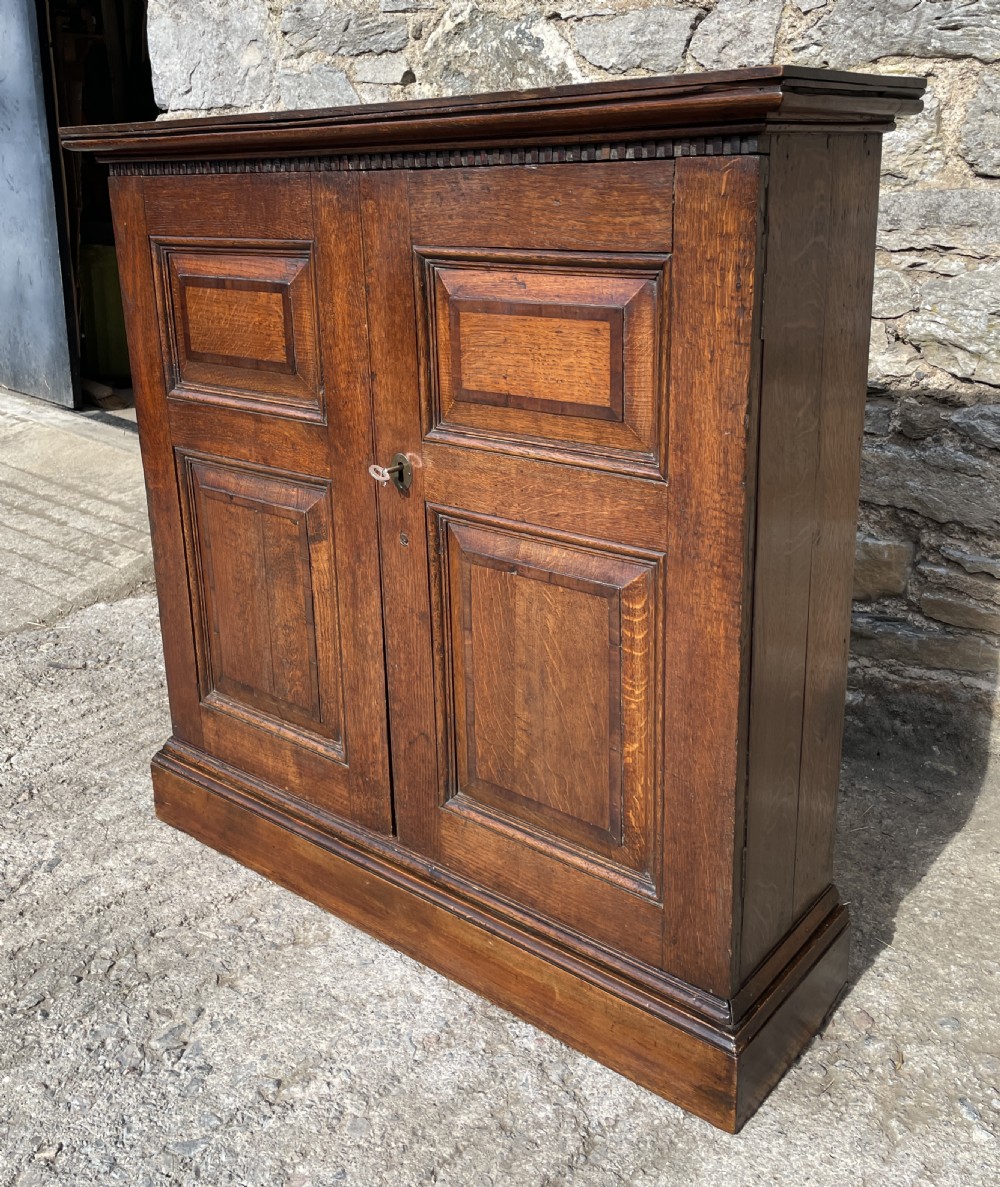 Georgian Oak Cupboard View XIV