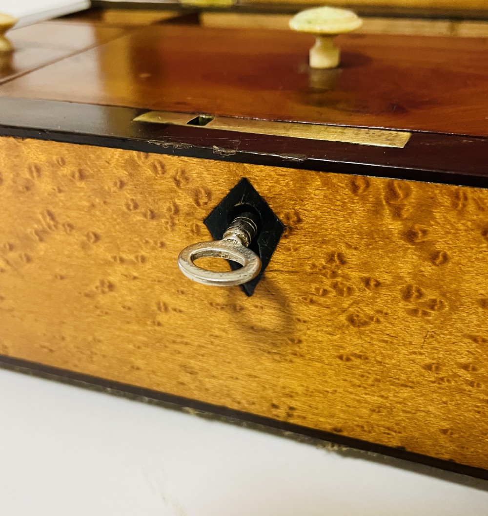 Regency Birds Eye Maple Box View XV