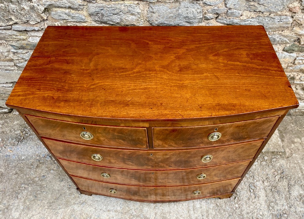 Large Regency Mahogany Bow Front Chest of Drawers View VIII