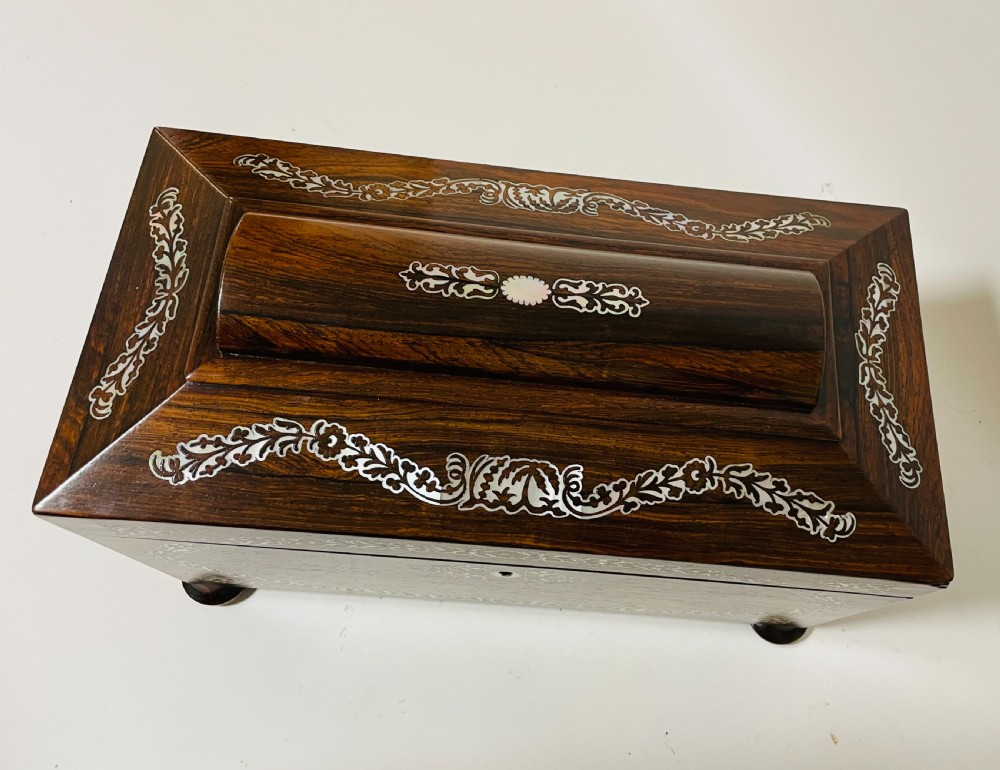 Regency Inlaid Rosewood Tea Caddy View XIV