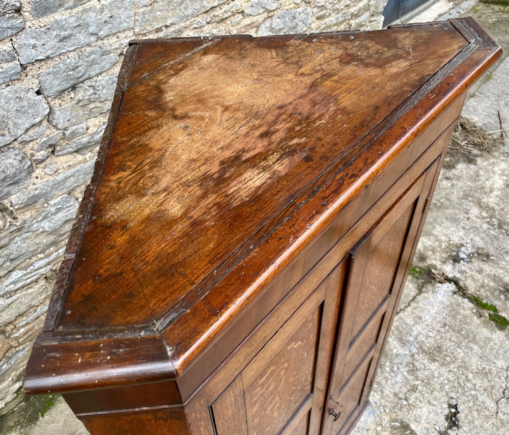 A floor-standing Georgian oak corner cupboard featuring double panelled doors and a moulded top cornice. View IX
