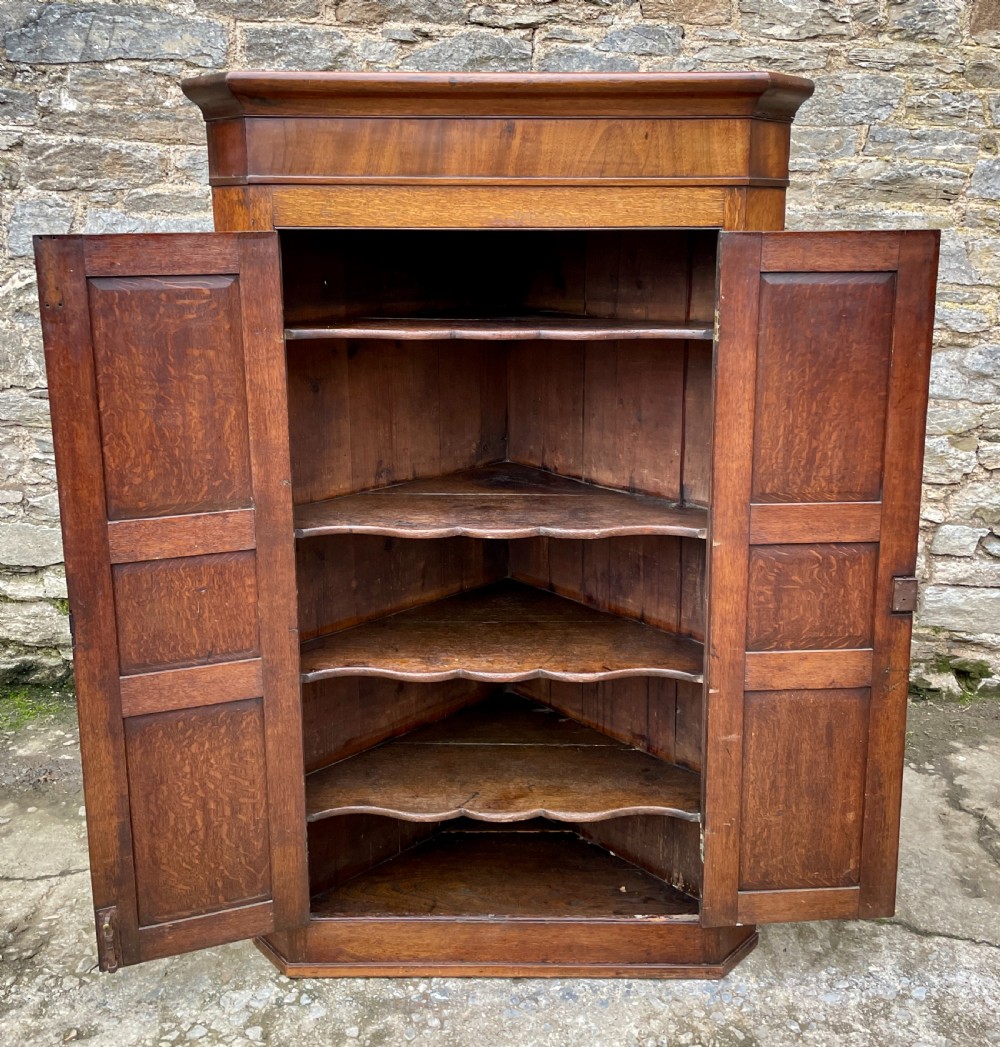 A floor-standing Georgian oak corner cupboard featuring double panelled doors and a moulded top cornice. View XII