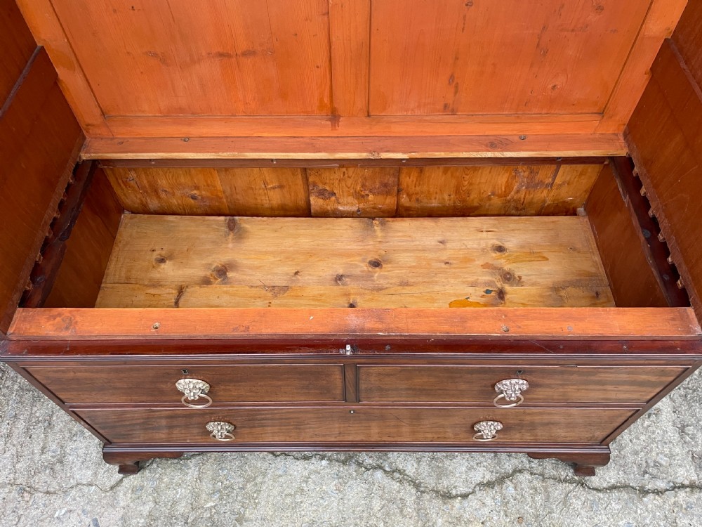 Georgian Mahogany Press Cupboard View XI