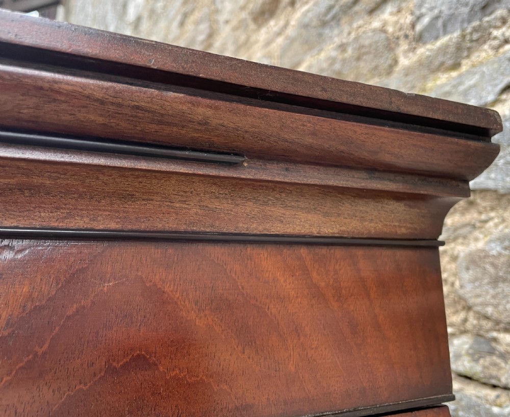 Georgian Mahogany Press Cupboard View XVII