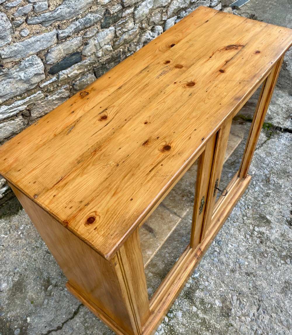 Antique Pine Glazed Cupboard View IX