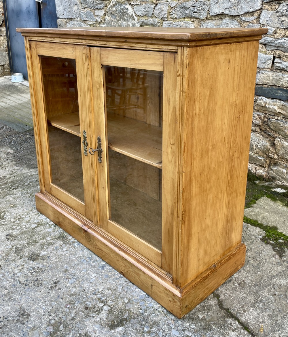 Antique Pine Glazed Cupboard View XIII