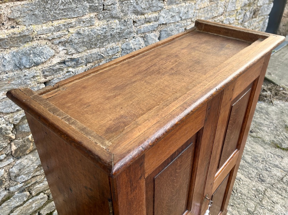 Antique Oak Cupboard View VIII