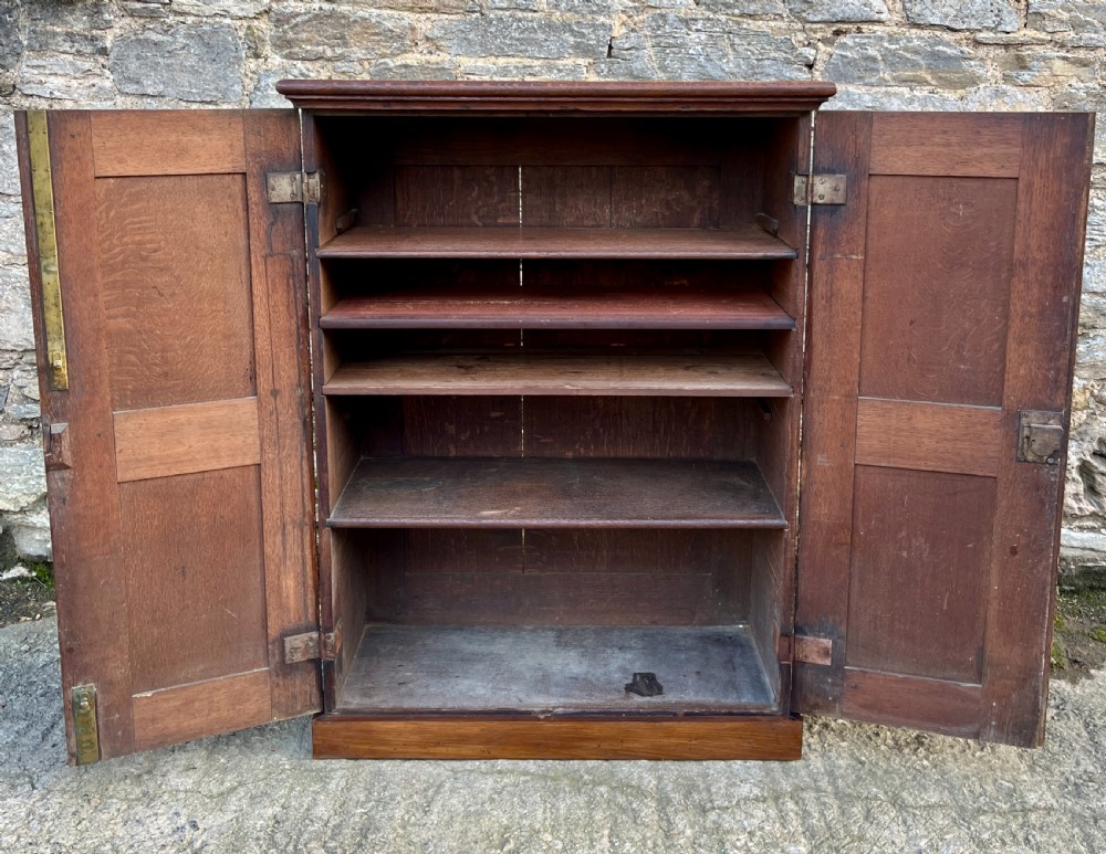 Antique Oak Cupboard View IX