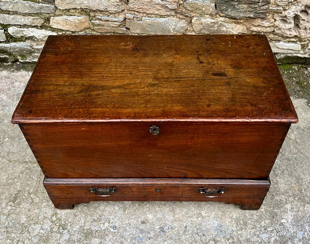 18th Century Oak and Elm Mule Chest View II