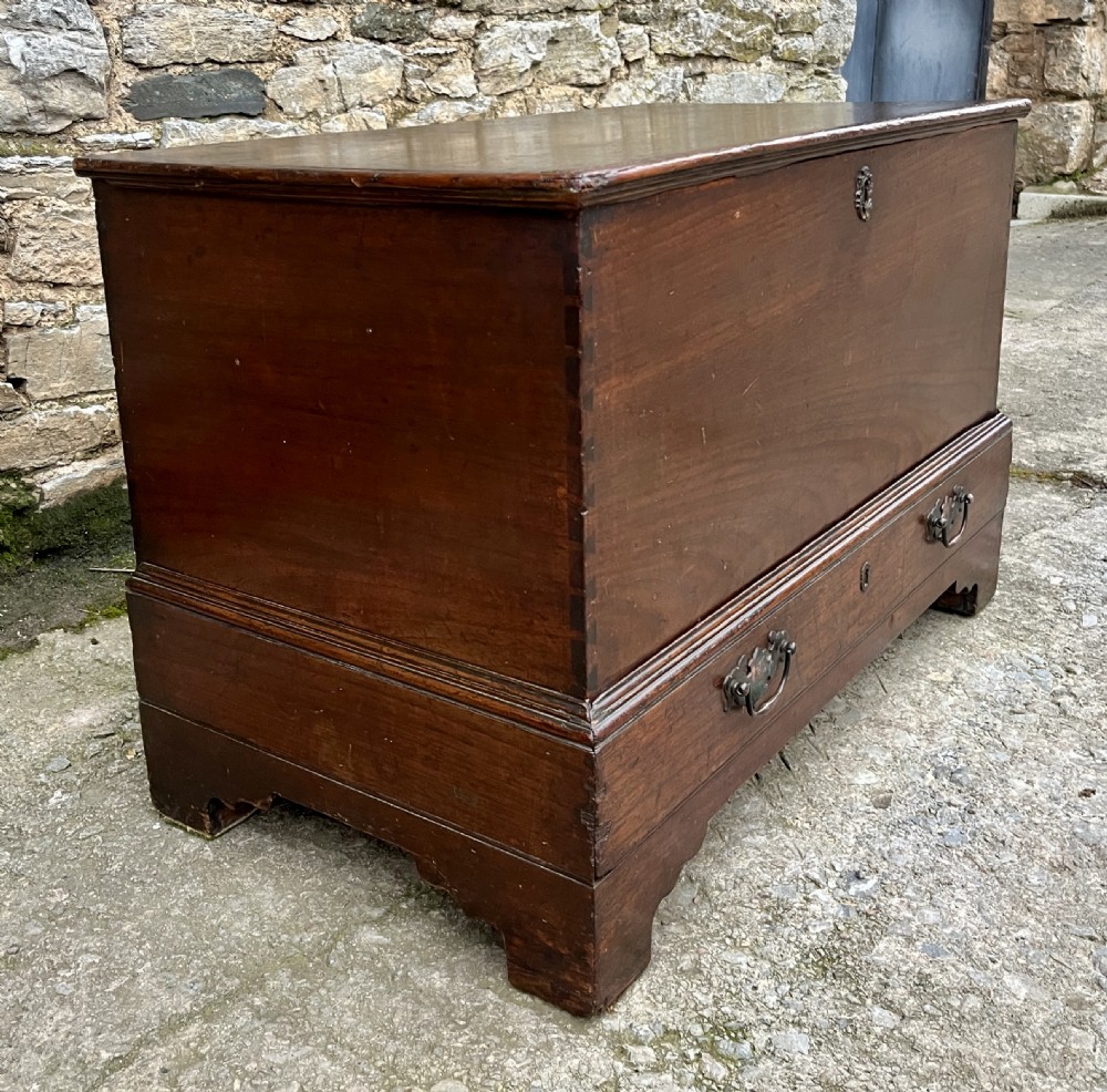 18th Century Oak and Elm Mule Chest View III
