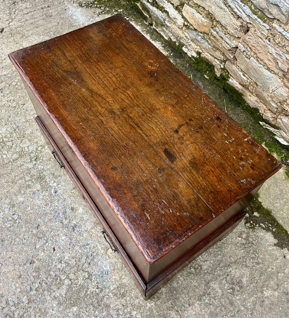 18th Century Oak and Elm Mule Chest View XI