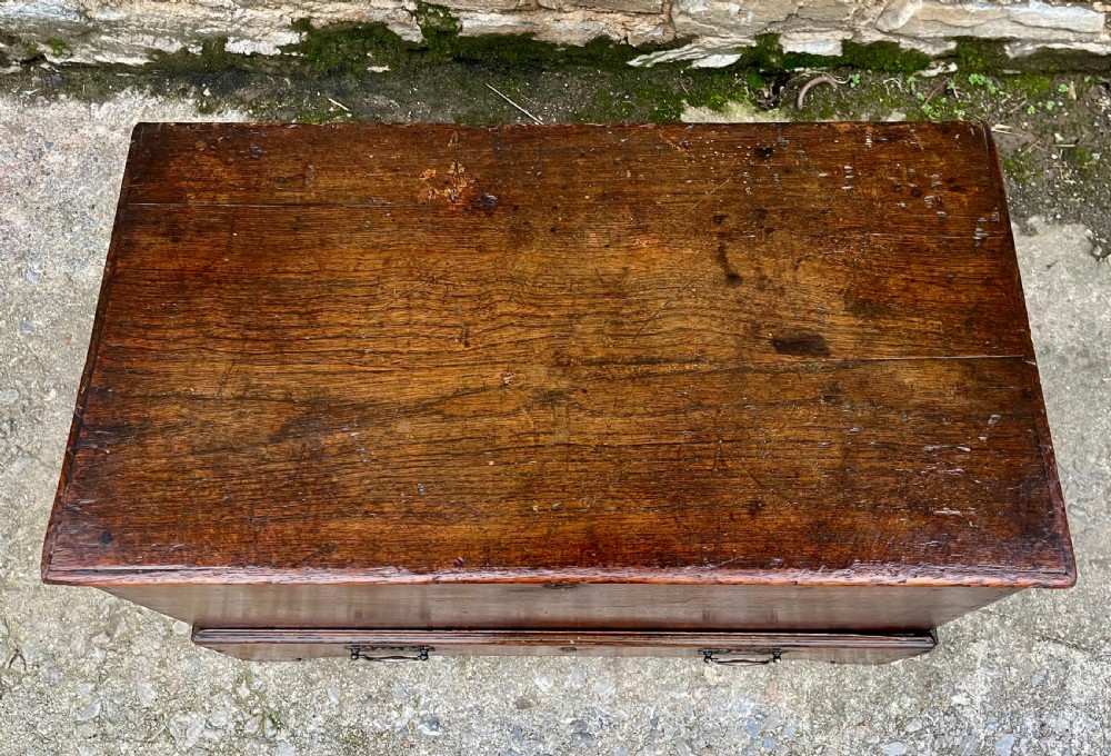 18th Century Oak and Elm Mule Chest View XII