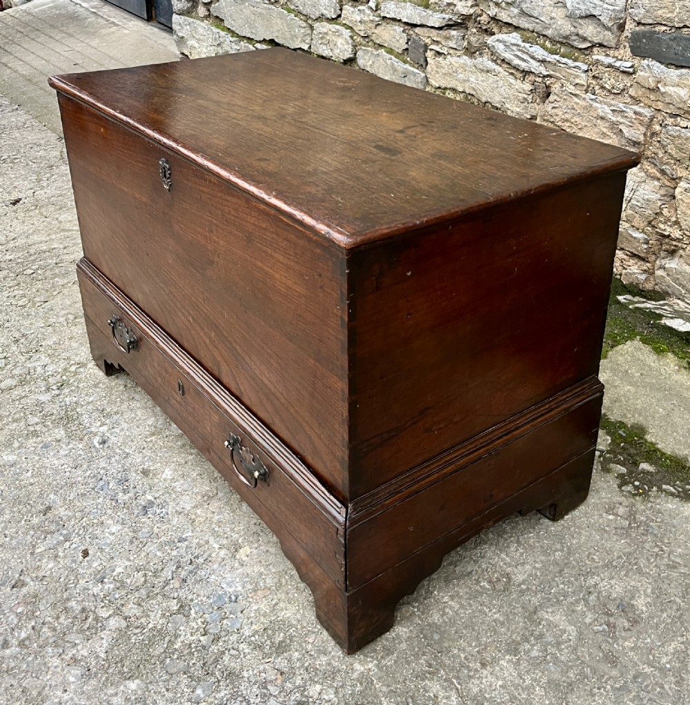 18th Century Oak and Elm Mule Chest View XV