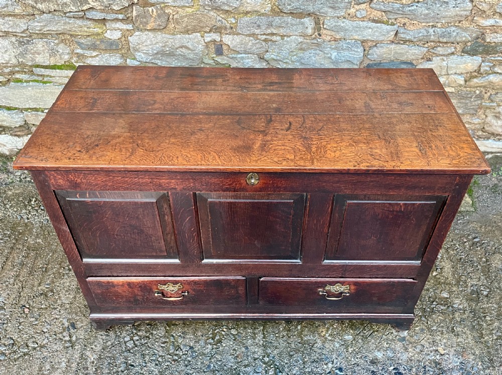 Georgian Oak Mule Chest View II