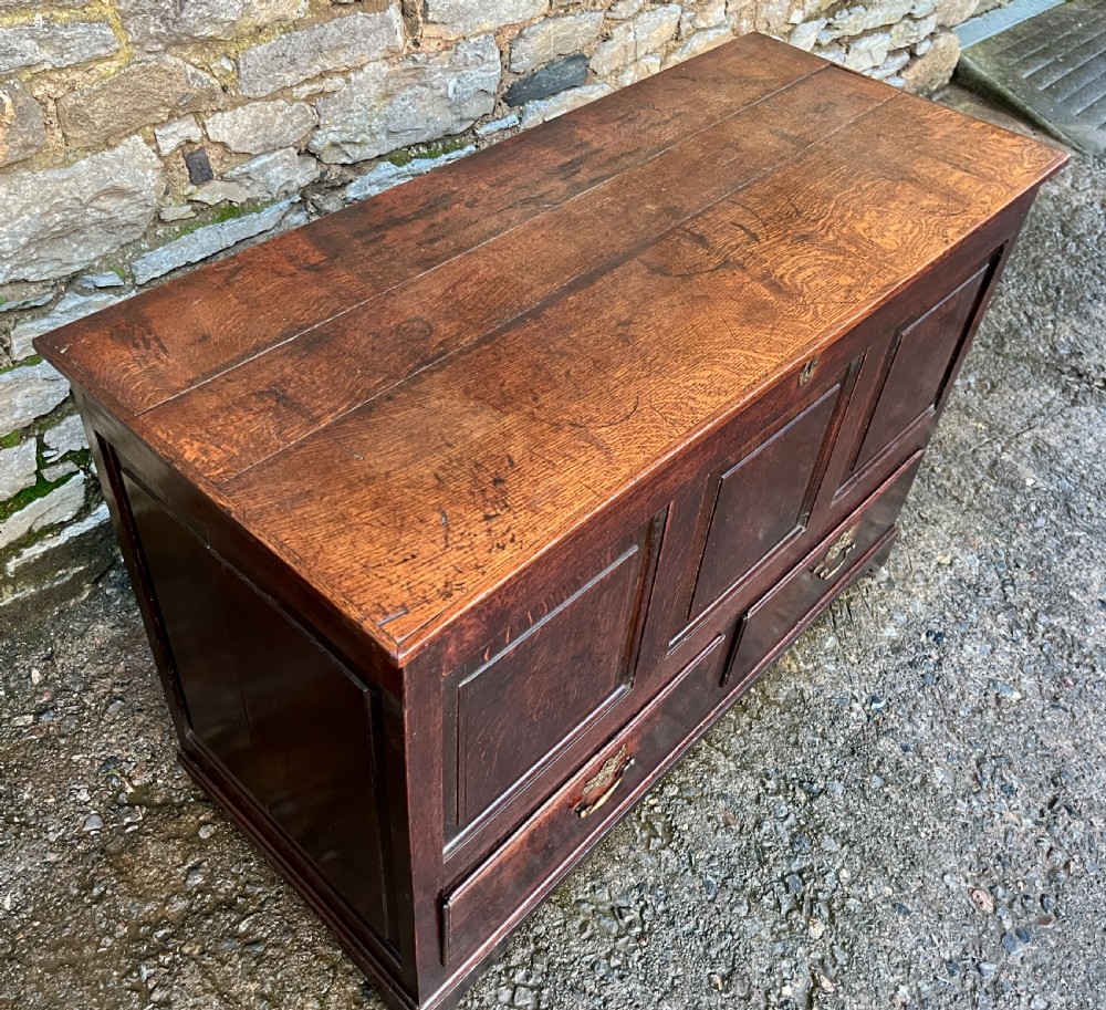 Georgian Oak Mule Chest View III