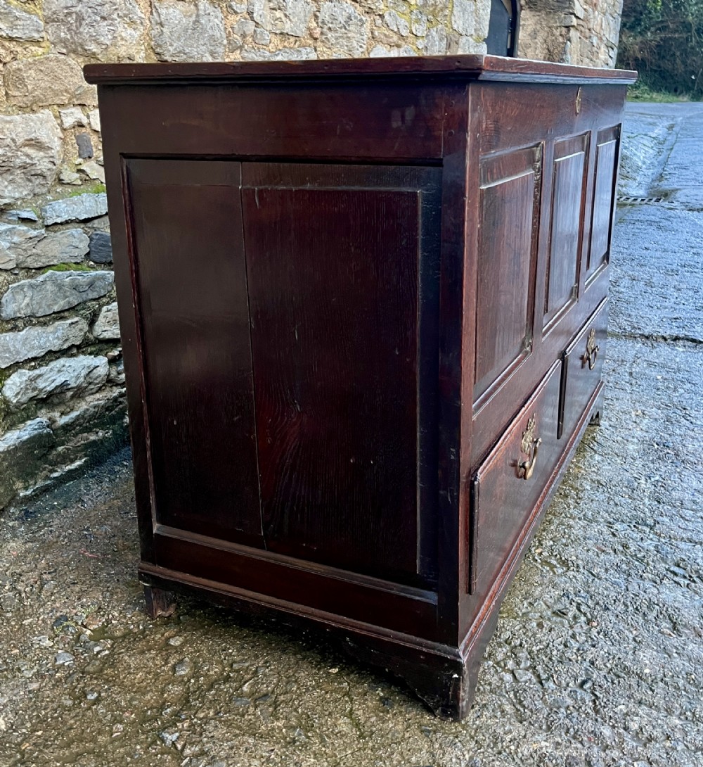 Georgian Oak Mule Chest View VI
