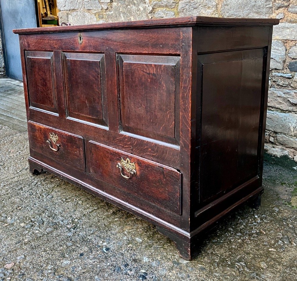Georgian Oak Mule Chest View VIII