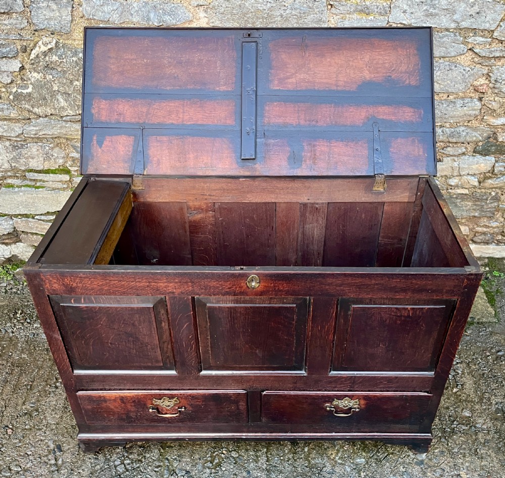 Georgian Oak Mule Chest View XI