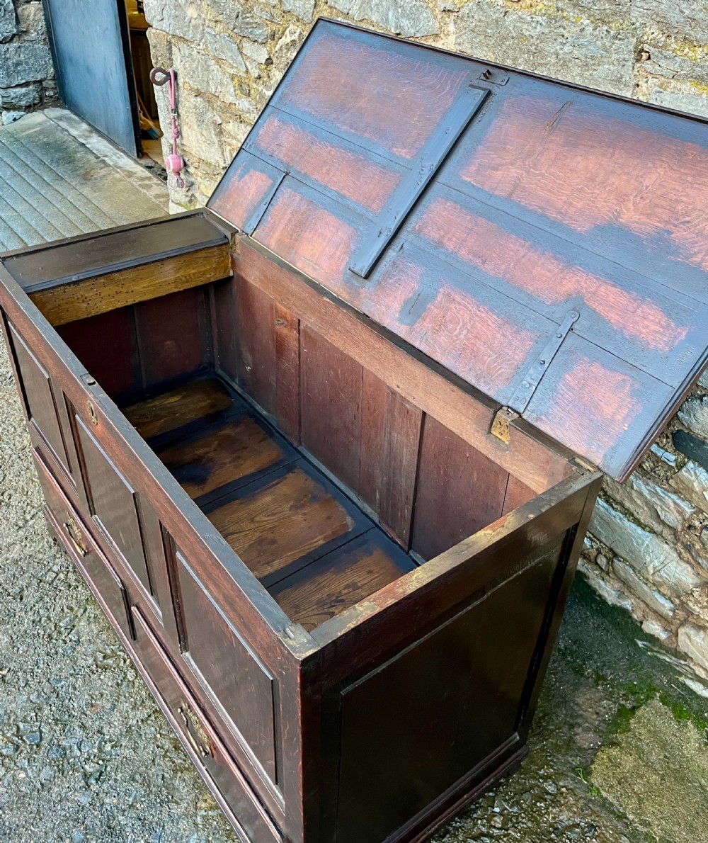 Georgian Oak Mule Chest View XV