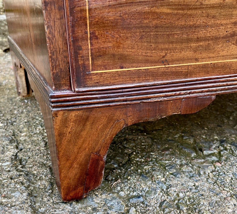Regency Mahogany Bow Front Chest of Drawers View XIX