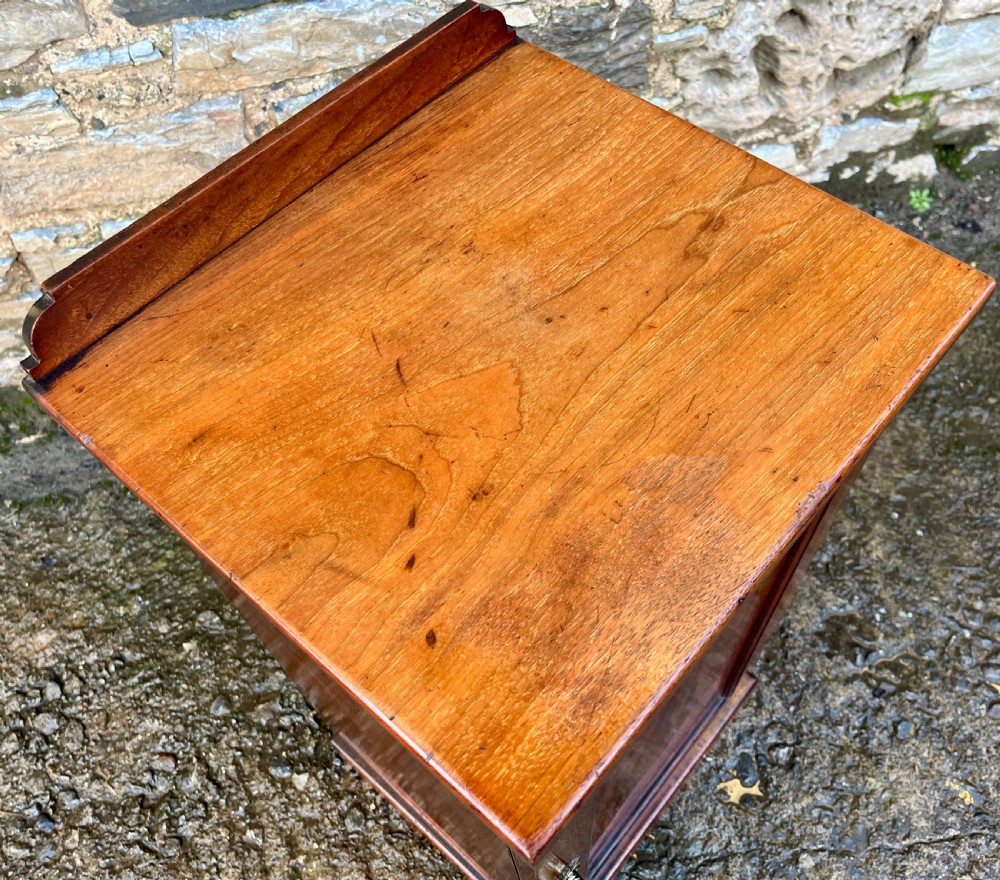Edwardian Mahogany Pot Cupboard View IX