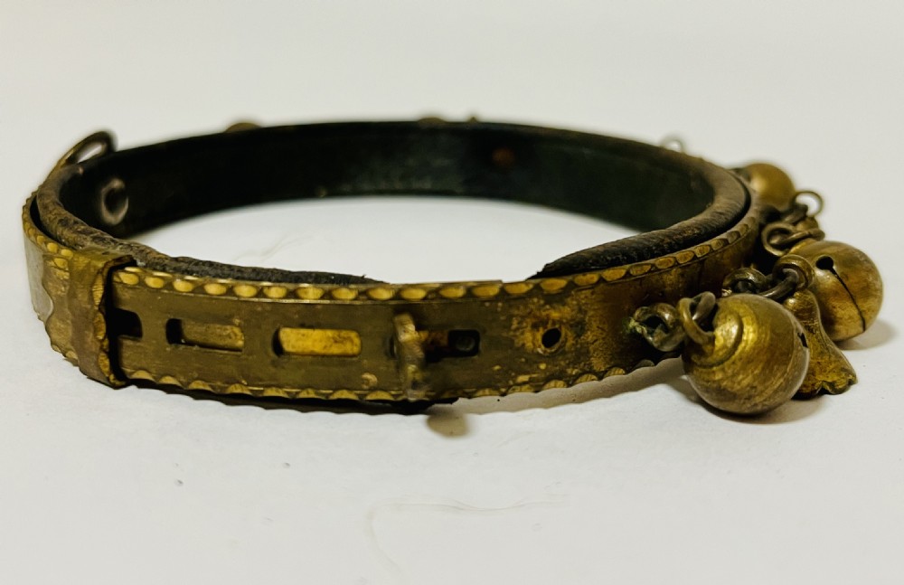 Rare Victorian Gilt Dog Collar View VII