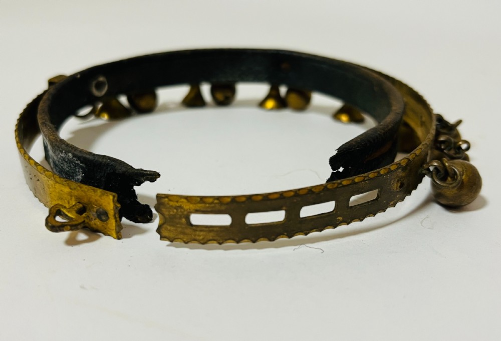 Rare Victorian Gilt Dog Collar View X