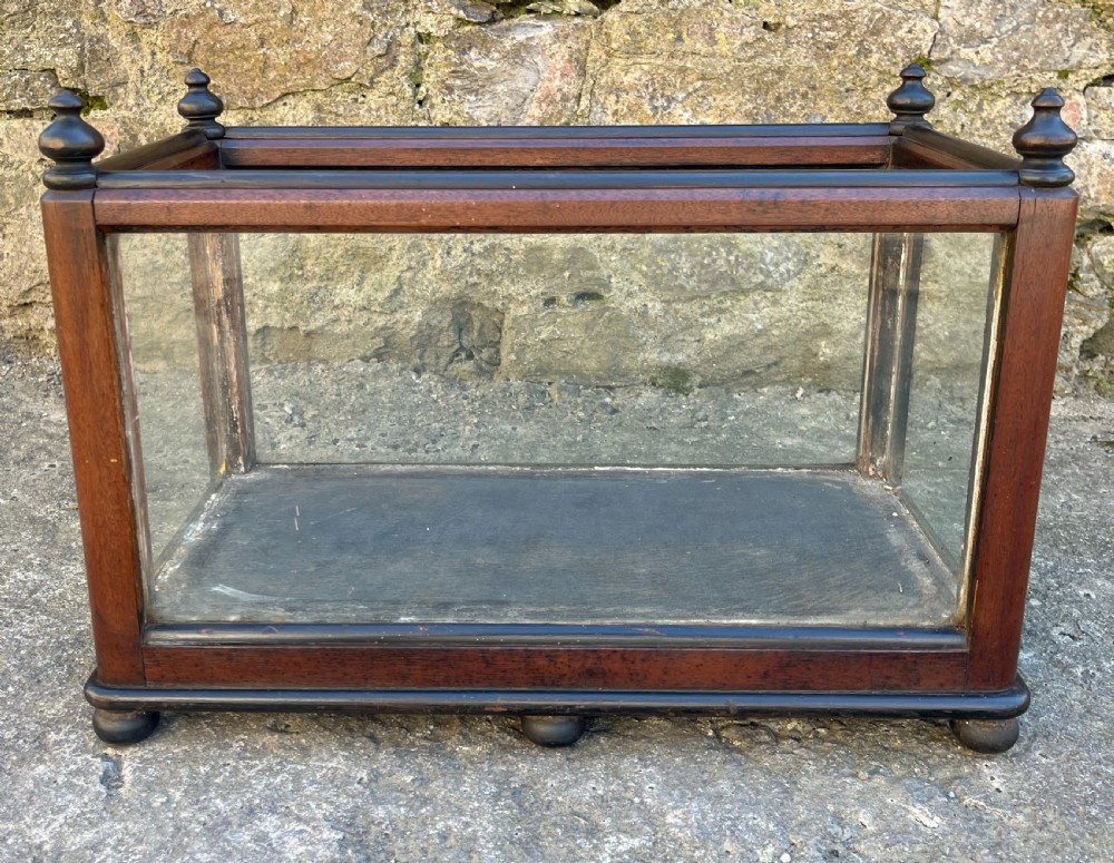 Antique Oak Framed Glass Terrarium View II