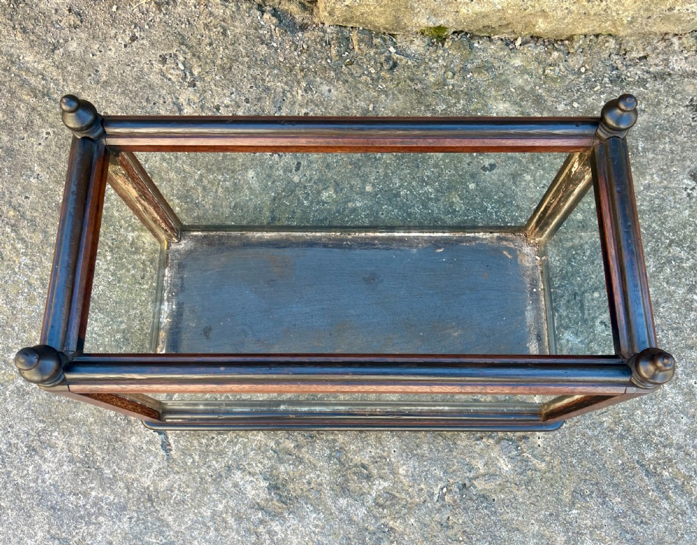 Antique Oak Framed Glass Terrarium View III