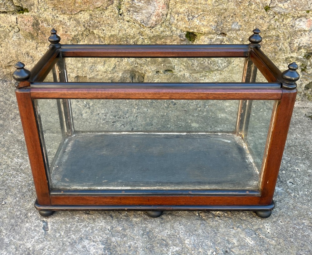 Antique Oak Framed Glass Terrarium View IV