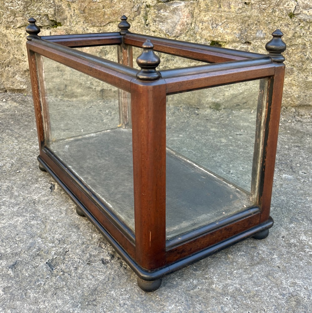 Antique Oak Framed Glass Terrarium View V