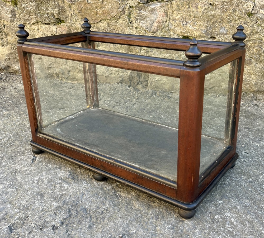 Antique Oak Framed Glass Terrarium View IX